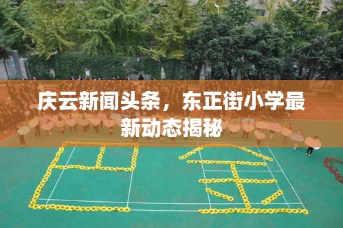 庆云新闻头条，东正街小学最新动态揭秘