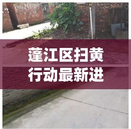 蓬江区扫黄行动最新进展，情况通报揭示最新动态