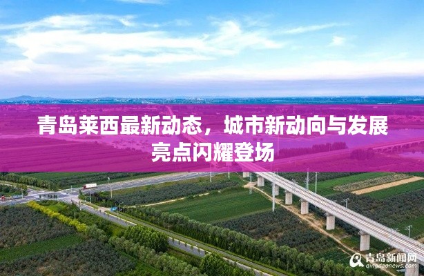 青岛莱西最新动态，城市新动向与发展亮点闪耀登场