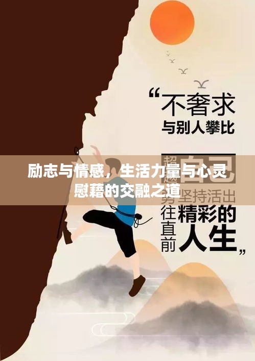 励志与情感，生活力量与心灵慰藉的交融之道