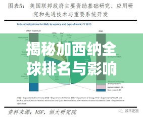 揭秘加西纳全球排名与影响力，全球视角的深度评估
