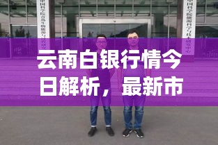 云南白银行情今日解析，最新市场动态一网打尽