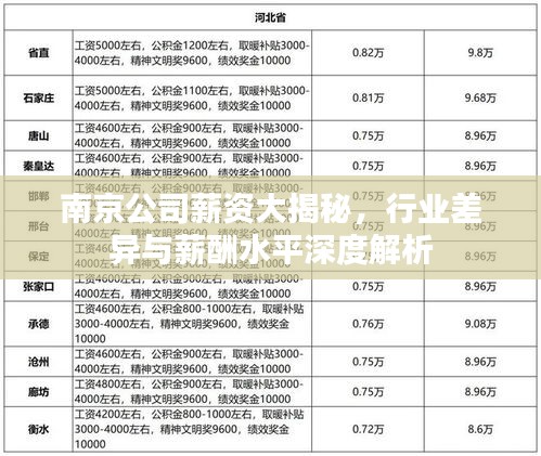 南京公司薪资大揭秘，行业差异与薪酬水平深度解析