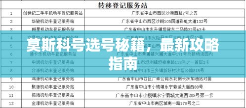 莫斯科号选号秘籍，最新攻略指南