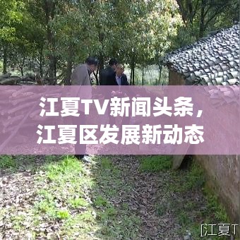 江夏TV新闻头条，江夏区发展新动态聚焦报道