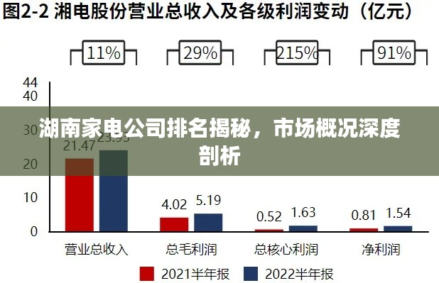 湖南家电公司排名揭秘，市场概况深度剖析