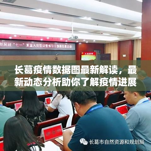 长葛疫情数据图最新解读，最新动态分析助你了解疫情进展