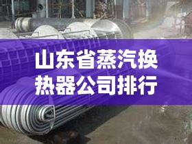 山东省蒸汽换热器公司排行榜及行业影响力深度解析