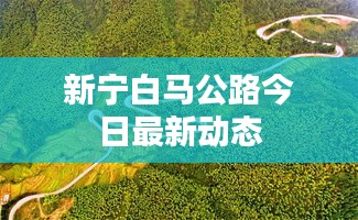 新宁白马公路今日最新动态
