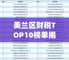 美兰区财税TOP10榜单揭秘，繁荣背后的强大力量