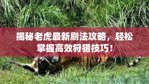 揭秘老虎最新刷法攻略，轻松掌握高效狩猎技巧！