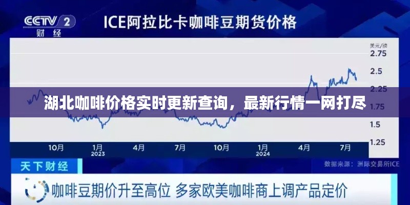 湖北咖啡价格实时更新查询，最新行情一网打尽