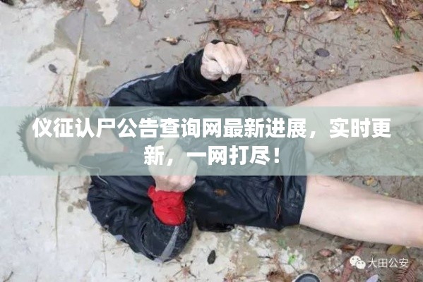 仪征认尸公告查询网最新进展，实时更新，一网打尽！