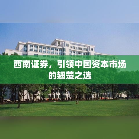 西南证券，引领中国资本市场的翘楚之选