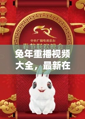 兔年重播视频大全，最新在线观看指南，不容错过！