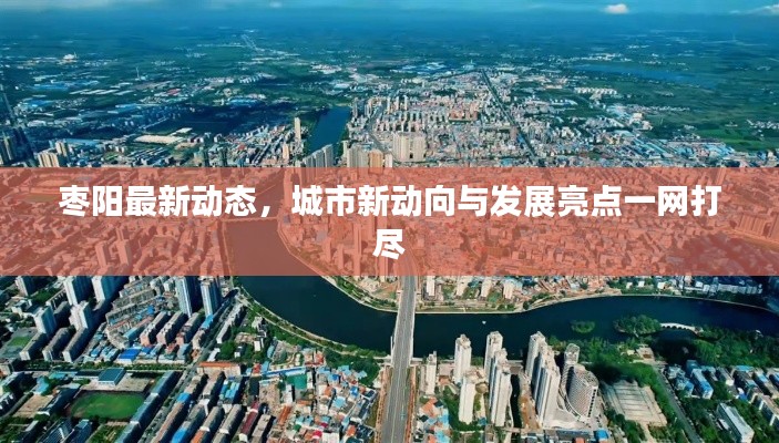 枣阳最新动态，城市新动向与发展亮点一网打尽