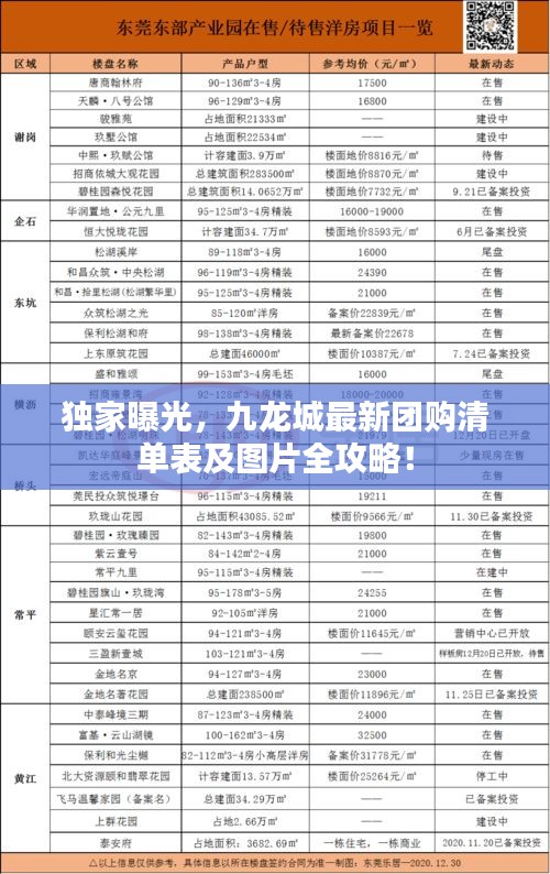 独家曝光，九龙城最新团购清单表及图片全攻略！