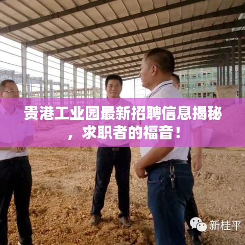 贵港工业园最新招聘信息揭秘，求职者的福音！