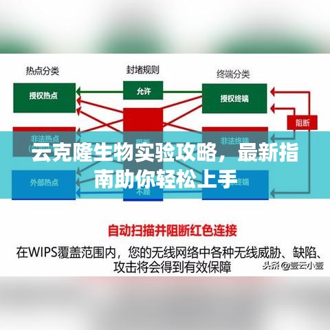 云克隆生物实验攻略，最新指南助你轻松上手