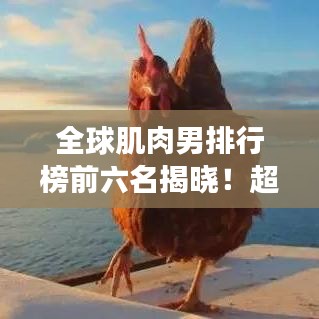 全球肌肉男排行榜前六名揭晓！超强肌肉男震撼亮相