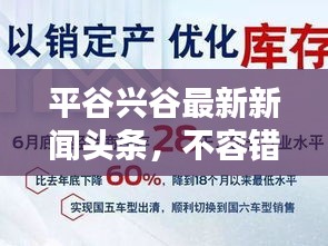 平谷兴谷最新新闻头条，不容错过！
