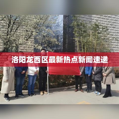 洛阳龙西区最新热点新闻速递