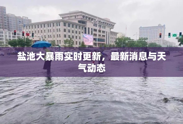 盐池大暴雨实时更新，最新消息与天气动态