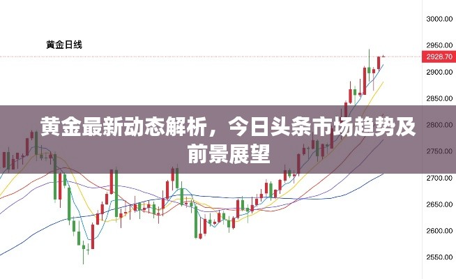 黄金最新动态解析，今日头条市场趋势及前景展望