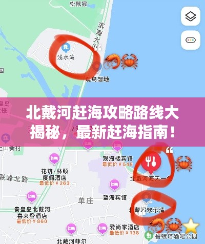北戴河赶海攻略路线大揭秘，最新赶海指南！