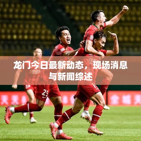 龙门今日最新动态，现场消息与新闻综述