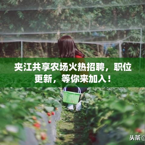夹江共享农场火热招聘，职位更新，等你来加入！
