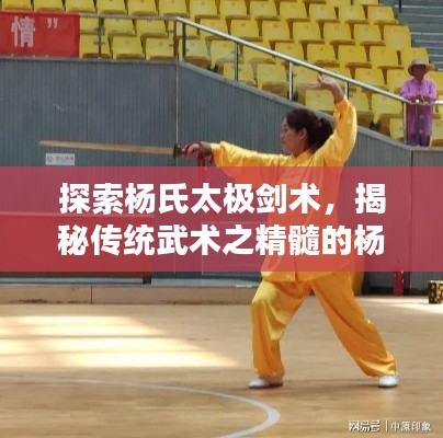 探索杨氏太极剑术，揭秘传统武术之精髓的杨氏三十二剑解析