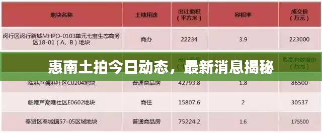 惠南土拍今日动态，最新消息揭秘