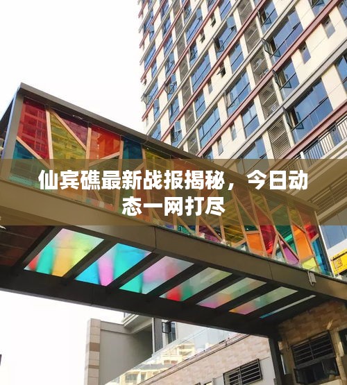 仙宾礁最新战报揭秘，今日动态一网打尽