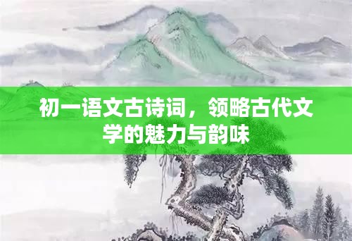 初一语文古诗词，领略古代文学的魅力与韵味