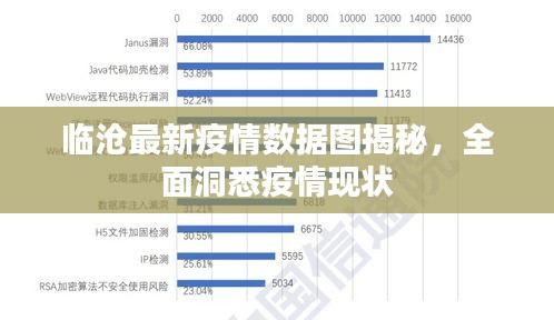 临沧最新疫情数据图揭秘，全面洞悉疫情现状