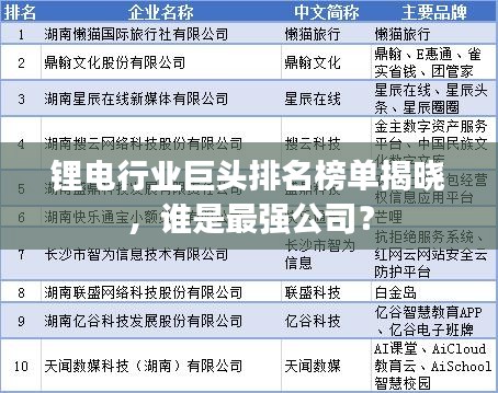 锂电行业巨头排名榜单揭晓，谁是最强公司？