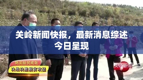 关岭新闻快报，最新消息综述今日呈现