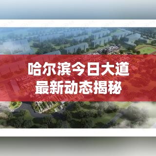 哈尔滨今日大道最新动态揭秘
