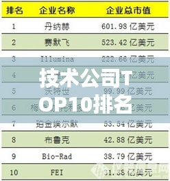 技术公司TOP10排名，引领科技潮流的巨头企业