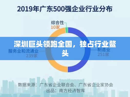 深圳巨头领跑全国，独占行业鳌头
