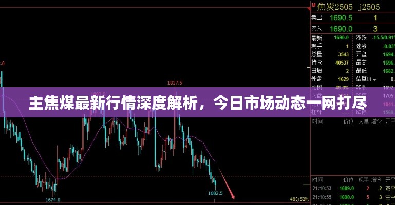 主焦煤最新行情深度解析，今日市场动态一网打尽