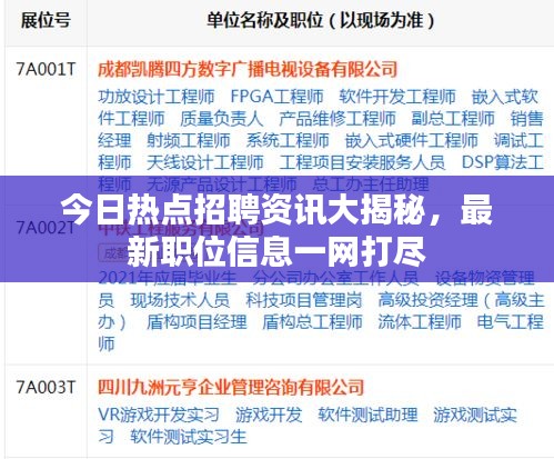 今日热点招聘资讯大揭秘，最新职位信息一网打尽