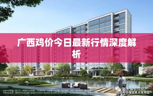 广西鸡价今日最新行情深度解析