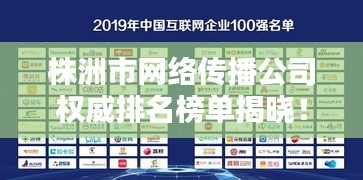 株洲市网络传播公司权威排名榜单揭晓！