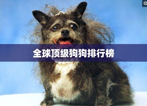 全球顶级狗狗排行榜