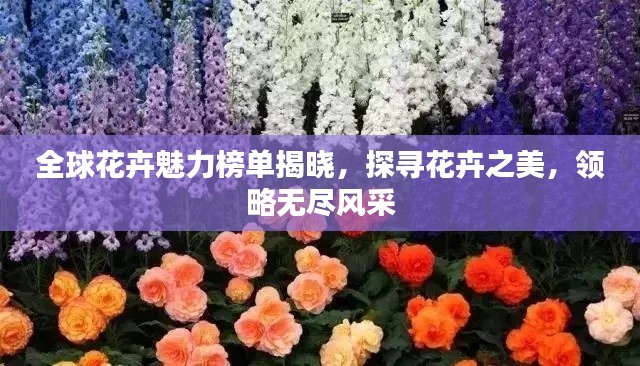 全球花卉魅力榜单揭晓，探寻花卉之美，领略无尽风采