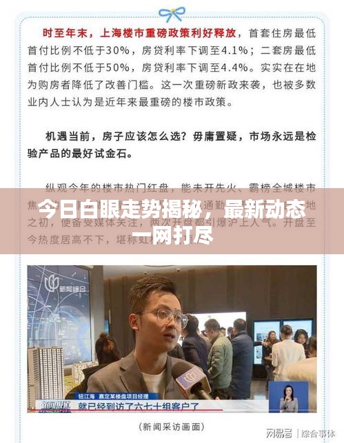 今日白眼走势揭秘，最新动态一网打尽