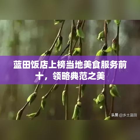 蓝田饭店上榜当地美食服务前十，领略典范之美