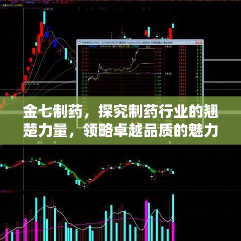 金七制药，探究制药行业的翘楚力量，领略卓越品质的魅力！